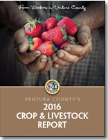 2016 Crop & Livestock Report