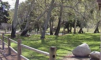 Foster Park